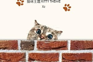 58套猫咪主题PPT，这才是猛男最爱的PPT！
