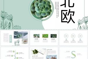 53套北欧风PPT模板，PPT界的颜值担当！