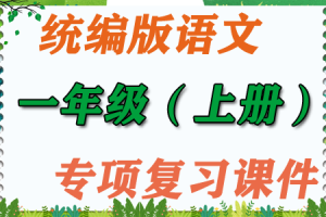 统编版语文 一年级（上册）期末专项复习课件PPT（拼音+词语+句子+标点+阅读+口语）