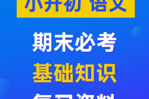 小升初（语文）精品复习资料汇总 专项知识练习试卷+复习课件PPT