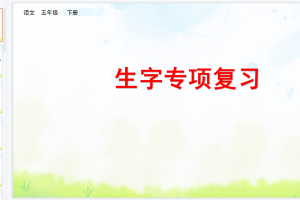 统编版语文五年级（下册）期末复习资料 -- 专项复习课件PPT