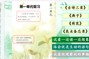 统编版语文三年级（下册）期末单元复习课件PPT（精美版）1-8单元完整版
