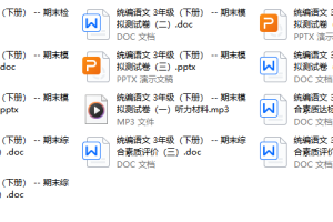 部（统）编版小学语文 三年级（下册）期末考试 -- 期末素养测评卷（多份）