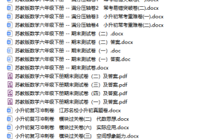 苏教版SJ 数学六年级（下册）期末考试测试卷及答案（31份）打包下载