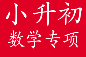 人教版小学数学--小升初暑假衔接专项复习资料