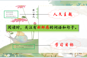 2024秋【统编版】语文三年级上册【大单元任务群】教学课件PPT+配套教案（全册完整版）第2套