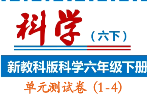 科学教科版6年级下册【单元测试卷+答案】